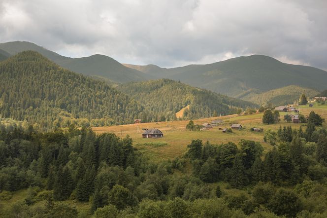 Te miasta i gminy wyludniają się najbardziej na Podkarpaciu