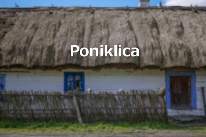 Poniklica
