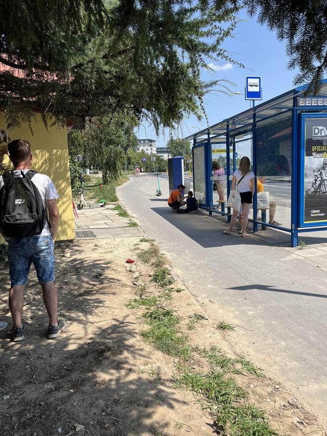 Krakowskie przystanki i cień - jak się sprawdzają? Jest kiepsko, sytuację ratują drzewa