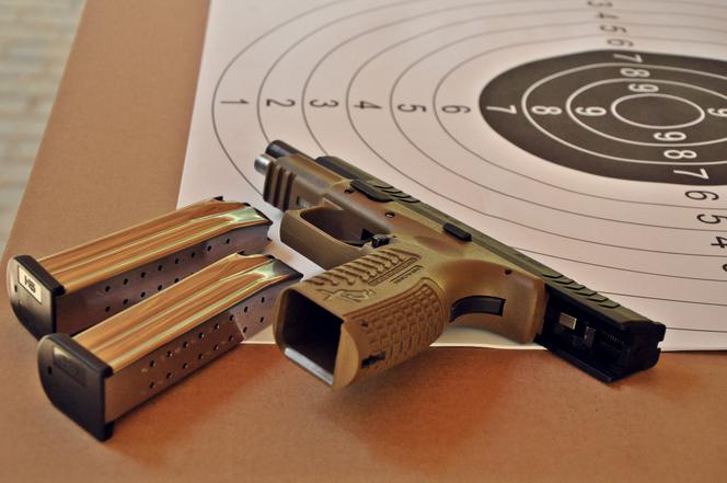 Sekcja Miłośników Oręża i Fortyfikacji Polskich Legionowskiego Towarzystwa Sportowego