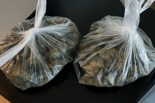 Prawo serii w Bydgoszczy. Policjanci tylko w ciągu kilku dni trzy razy wpadli na trop tego samego przestępstwa