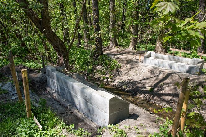 W Katowicach powstaje nowy park. Rozpoczęła się rewitalizacja Doliny Ślepiotki 