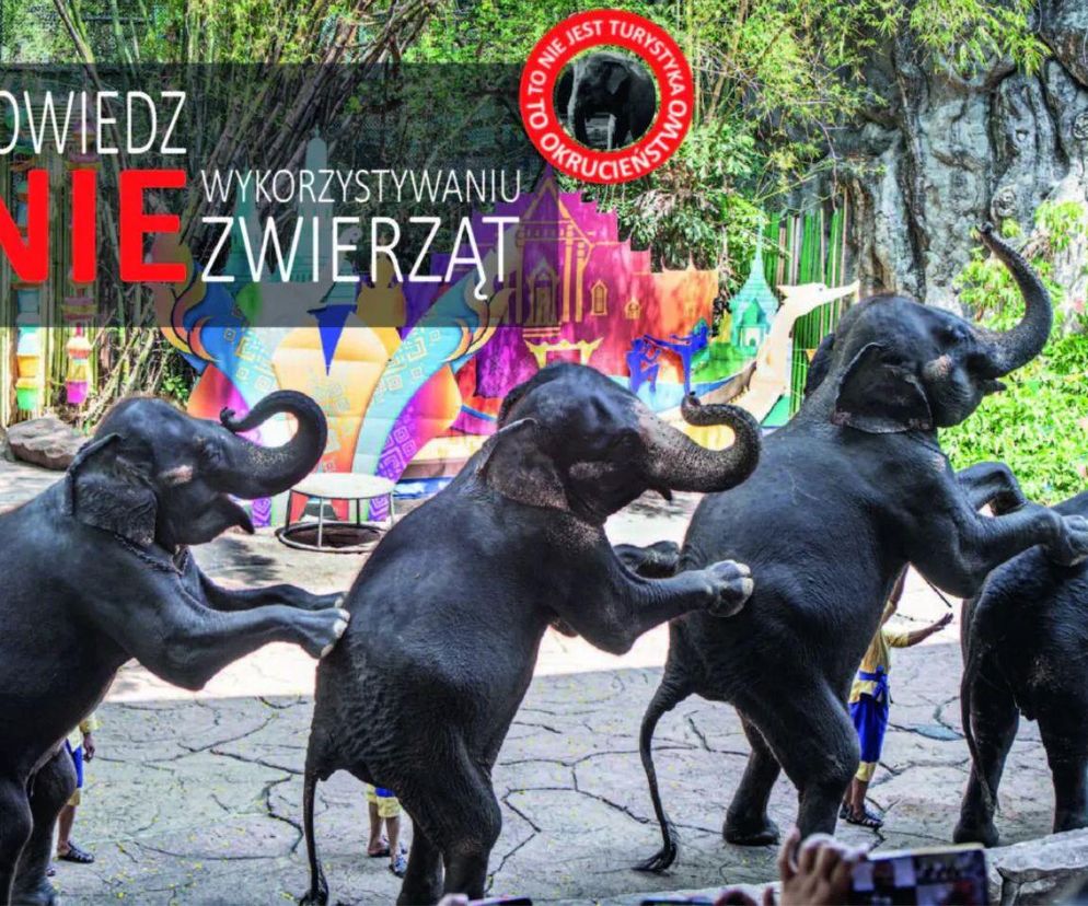 ZOO Wrocław przypomina o świadomej turystyce