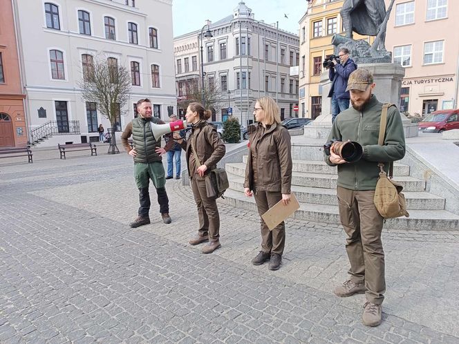 Przemarsz przedszkolaków z marzannami ulicami Grudziądza