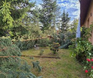 Dolnośląskie. Burze wyrządziły wiele szkód w regionie. Tak wyglądają okolice Jawora [ZDJĘCIA].