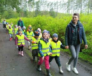 Dzieci posprzątały las i miały lekcję ekologii w terenie. Pomogła firma z Iławy