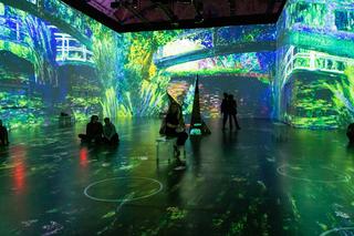 Immersive Monet & The Impressionists