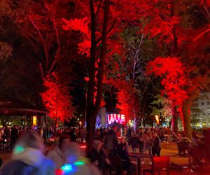 Light Move Festival 2025