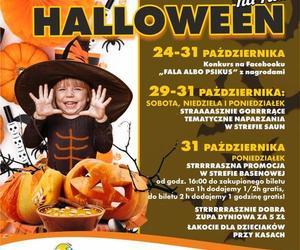 Halloween w Łodzi. FALA przygotowała coś specjalnego