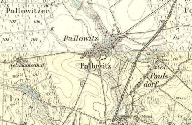 Palowice