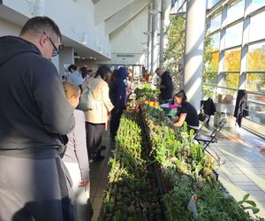 Węże, pająki i dreszczyk emocji w Bydgoszczy! Dragon Expo zachwyciło odwiedzających