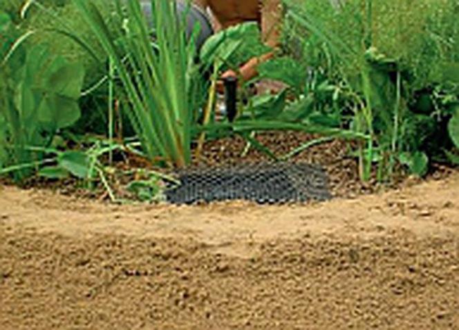 Oczyszczalnia jak ogród