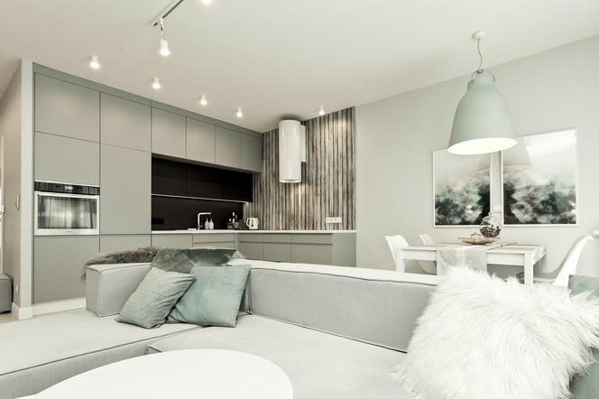 Apartament w duchu ocieplonego minimalizmu