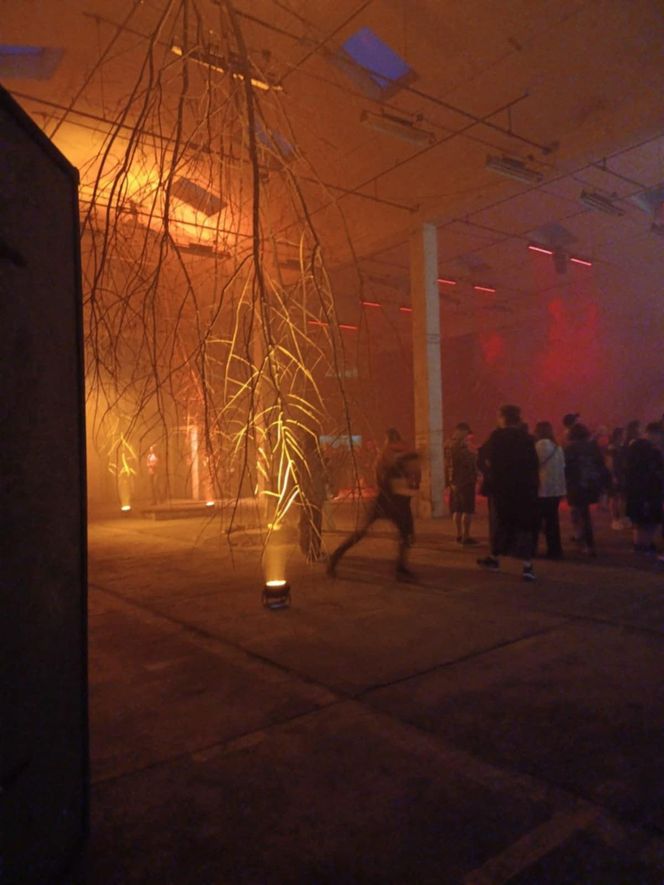 Ravekjavík 2025