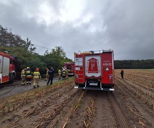 Śmiertelny pożar w Łódzkiem. Spłonął mężczyzna nielegalnie zamieszkujący pustostan