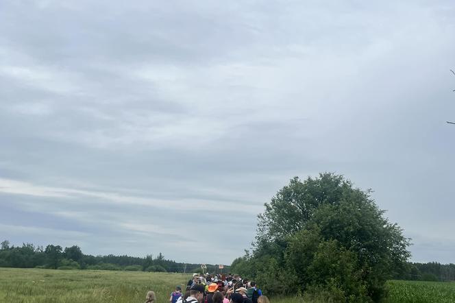 Pielgrzymka