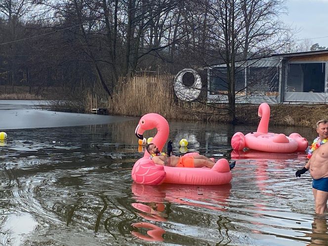 Morsowanie w Zielonej Górze podczas 33. Finału WOŚP