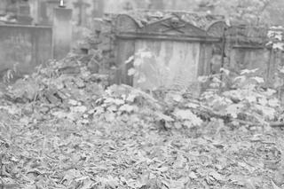 Dzień Wszystkich Świętych w PRL