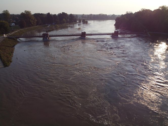 Powódź we Wrocławiu. Tak wygląda Odra w czwartek 19.09.2024 