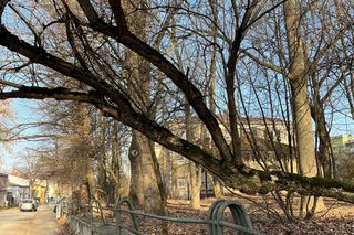 Zabytkowy Park Bronowicki w Lublinie czeka gruntowna rewitalizacja. Koszt? 8 milionów złotych