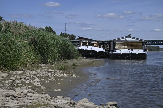 Alarm! Wisła wysycha na naszych oczach. Katastrofalny poziom wody w Warszawie