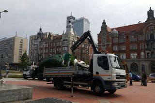 Palmy wróciły na rynek w Katowicach