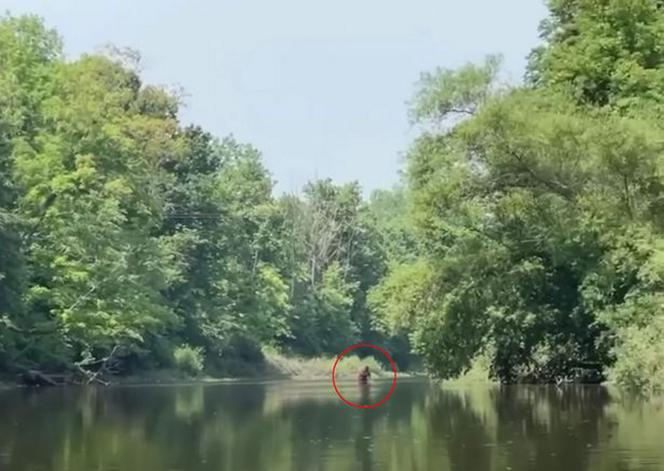 Yeti uwieczniony na filmie!