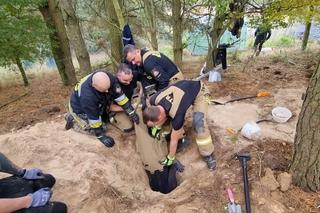 Dramatyczny finał za kotem. Jagódka utknęła głęboko pod ziemią