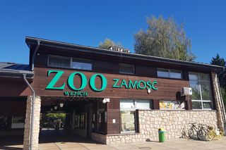 Zoo w Zamościu poleca się na jesienny spacer. Zobacz zdjęcia!