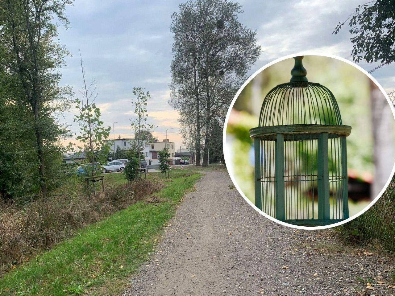 Miejscowość Której Nazwa Pochodzi Od Ptasiego Gniazda Legendy głoszą, że nazwa tego bydgoskiego osiedla pochodzi od ptaka w