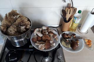 Są już grzyby w woj. lubelskim! Mieszkańcy chwalą się zbiorami