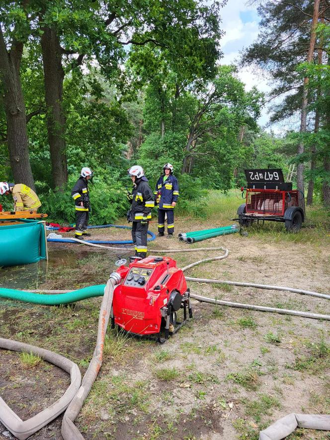 Duży pożar lasu w powiecie wolsztyńskim. Poszkodowani zostali strażacy!