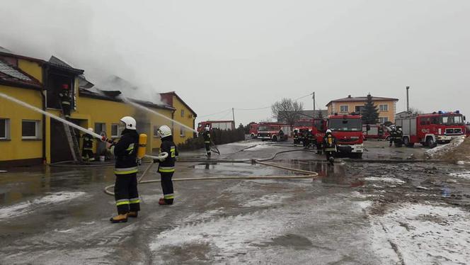 Płonie obora w powiecie chełmińskim! Na miejscu 21 zastępów straży pożarnej! [ZDJĘCIA]