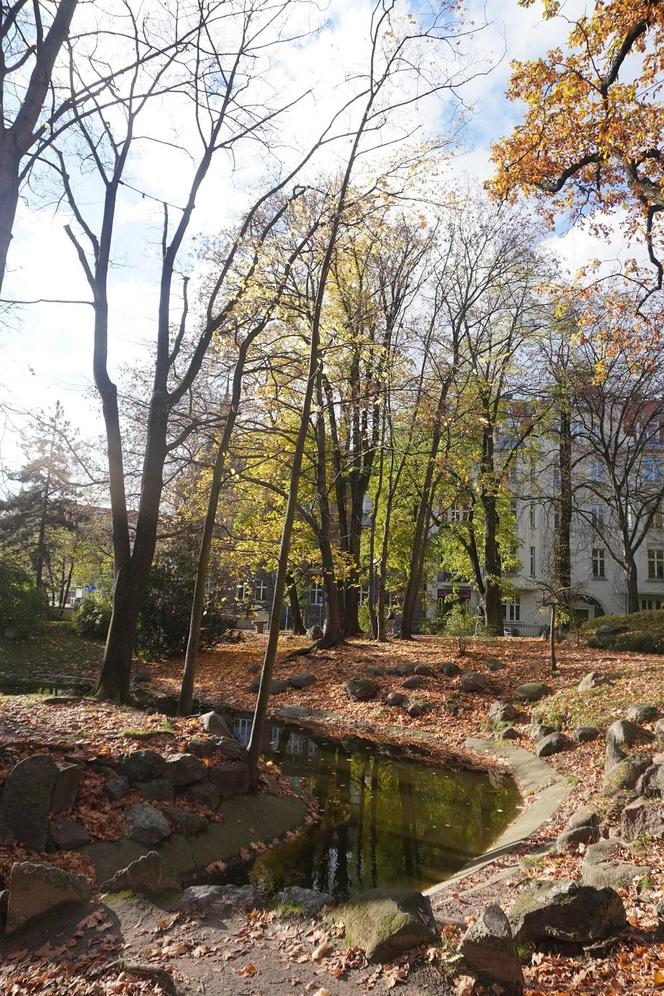 Park Wilsona
