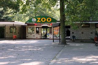 Nowe ZOO w Poznaniu