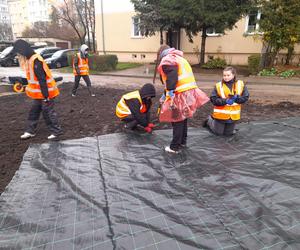 Olsztyn pięknieje. Powstaje kolejna zielona przestrzeń [ZDJĘCIA]