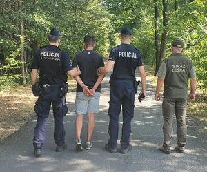Odpalał fajerwerki w lesie i wywołał pożar! 28-latek przyłapany na gorącym uczynku