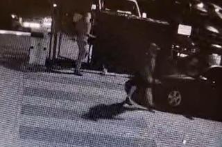 Jest nagroda za odnalezienie skradzionego skutera wodnego. Kwota robi wrażenie