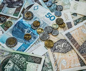 Radni podjęli decyzję! W Grudziądzu zapłacimy więcej za wywóz śmieci