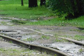 Tramwaje będą się wlokły jak żółwie. ZDMK wprowadził kolejne ograniczenia!