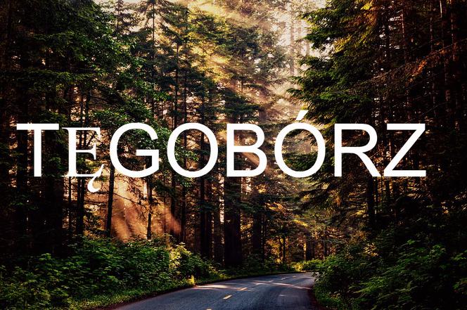 Tęgobórz