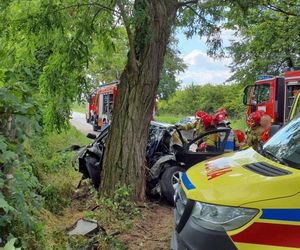 Śmiertelny wypadek pod Skierniewicami. 68-latek uderzył w drzewo [ZDJĘCIA].