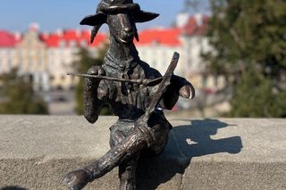  Nowe koziołki w Lublinie. Takiego przywitania życzyłby sobie każdy celebryta!