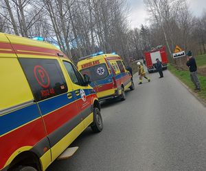 Czermna. Dostawcze IVECO roztrzaskało się na drzewie. Nie żyje kierowca