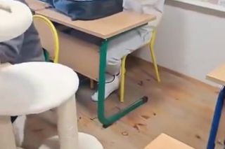 Dzień bez plecaka w warszawskiej szkole