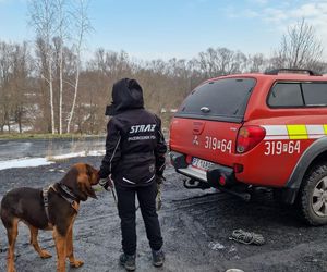 Karolina Wróbel zaginęła. Jest poszukiwana od 3 stycznia