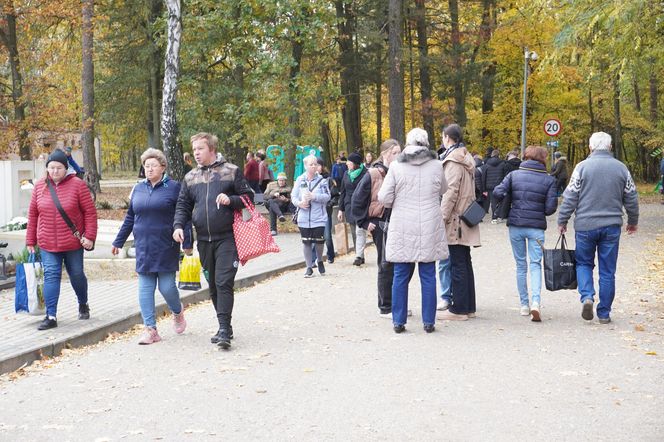 Tłumy na cmentarzu na Miłostowie