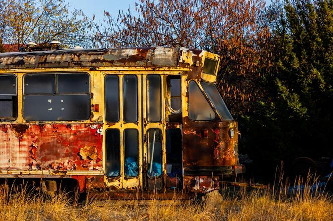 Zobacz kolekcję starych tramwajów w prywatnym ogrodzie - zdjęcia. Wagony stoją na działce w Warszawie