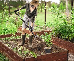 Idealne podłoże do roślin – sekret bujnych kwiatów i warzyw