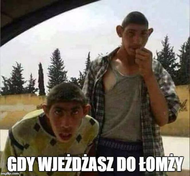 Najzabawniejsze memy o Podlasiu